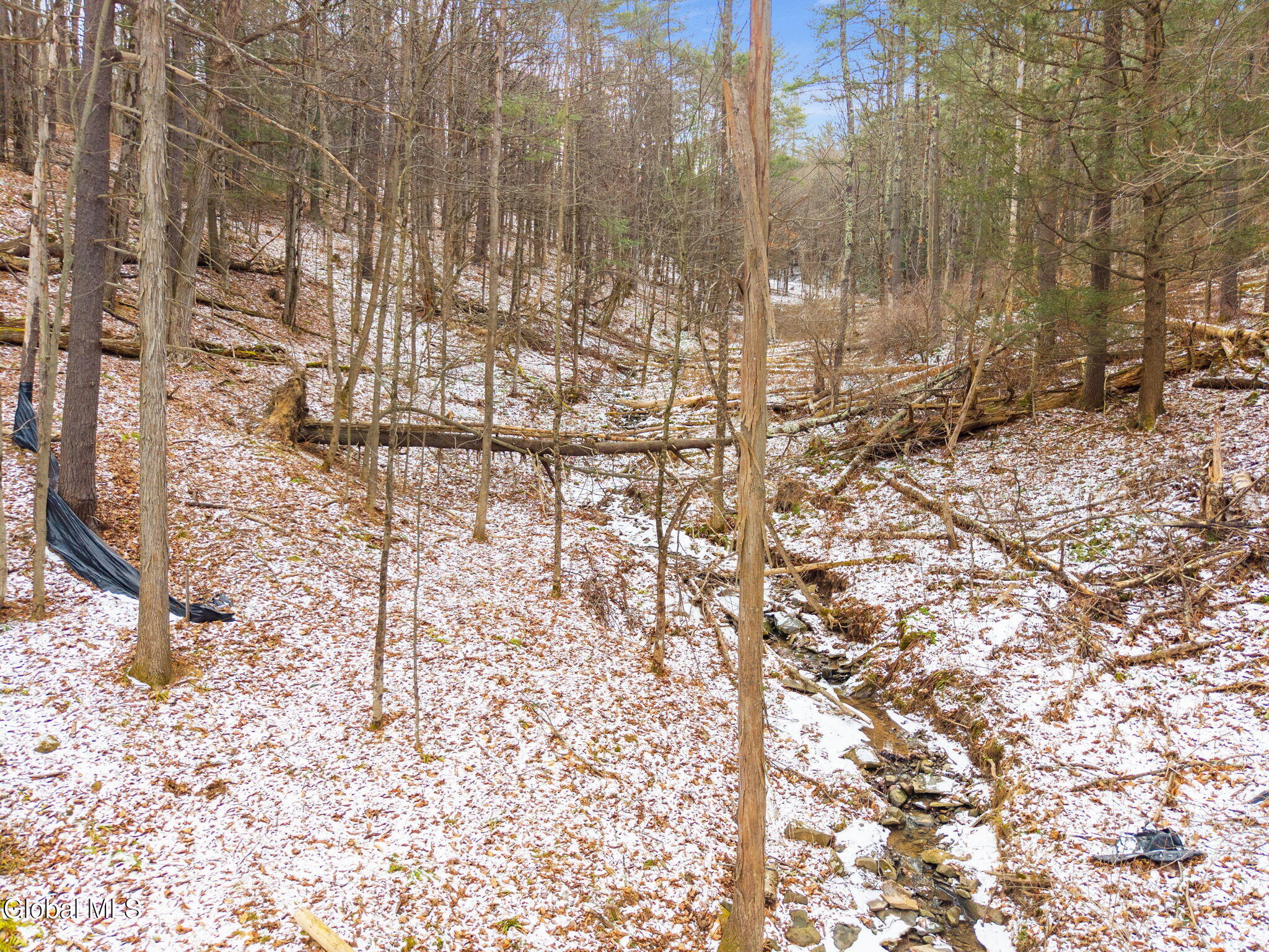 L4 Flat Creek Road Gilboa NY 12076