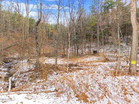 L4 Flat Creek Road Gilboa NY 12076