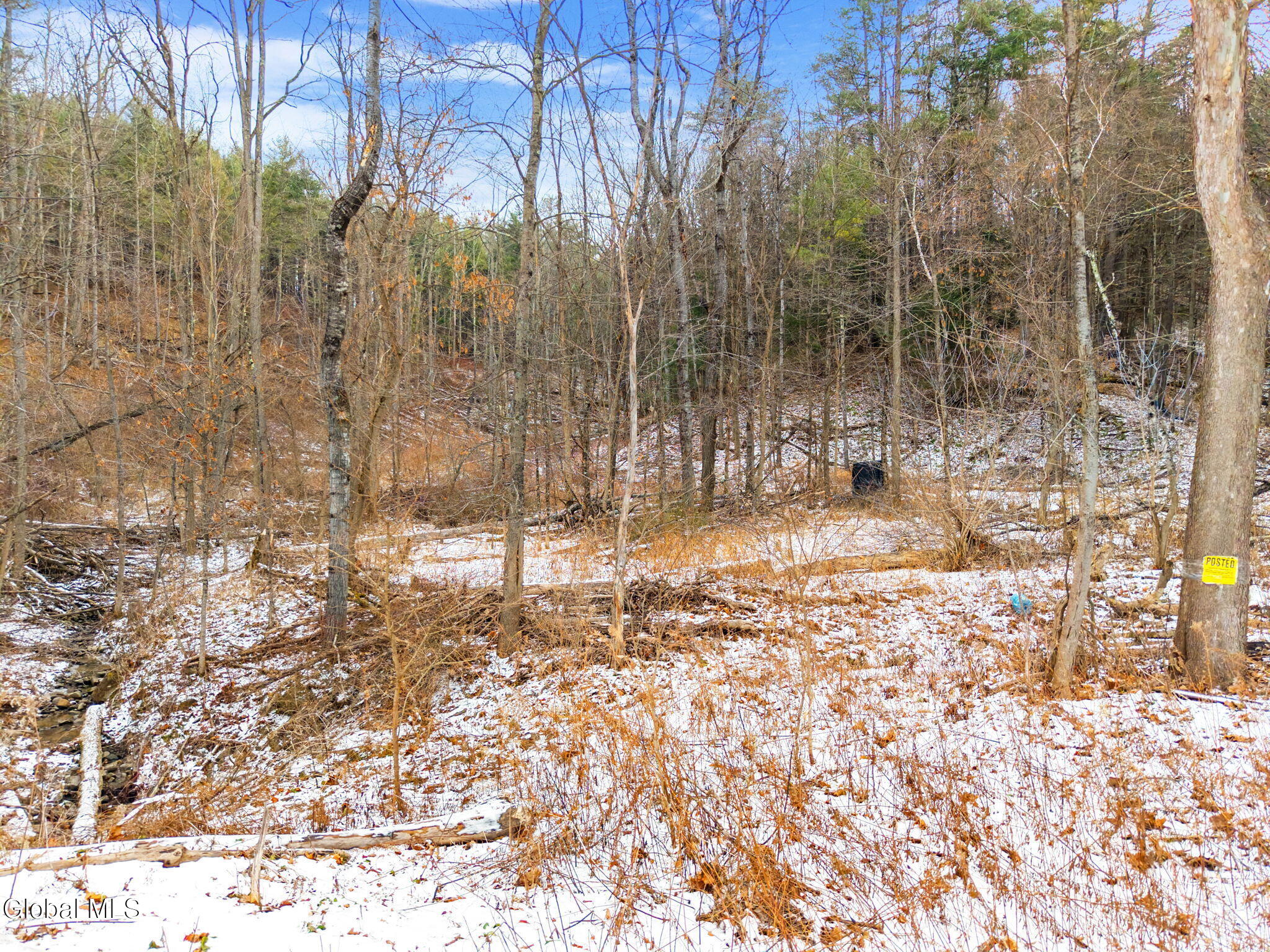 L4 Flat Creek Road Gilboa NY 12076