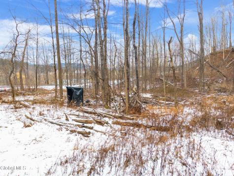 L4 Flat Creek Road Gilboa NY 12076