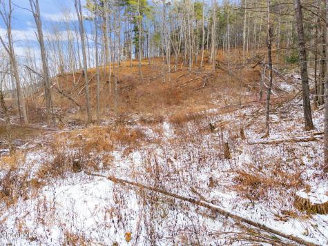 L4 Flat Creek Road Gilboa NY 12076