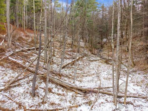 L4 Flat Creek Road Gilboa NY 12076