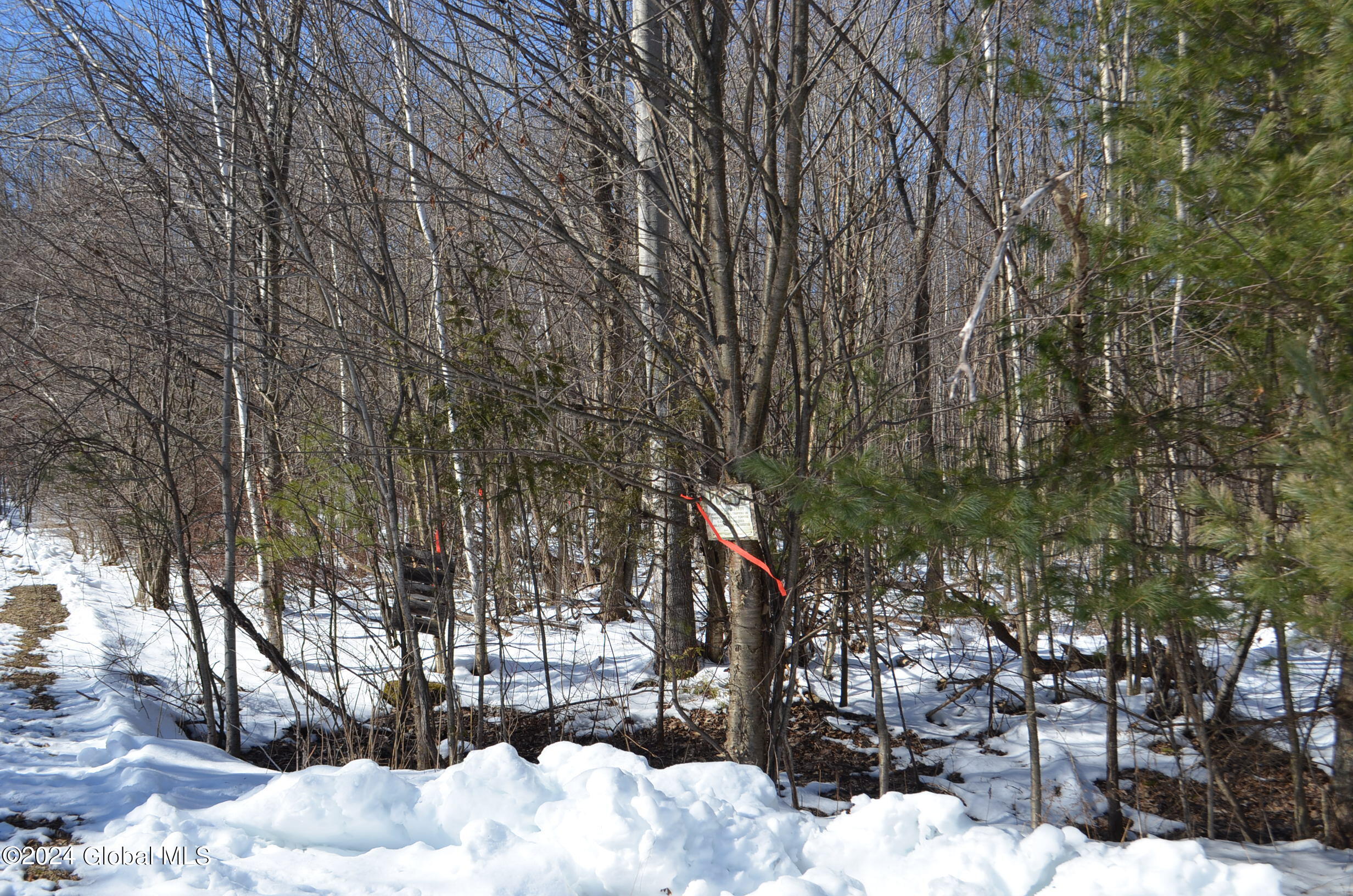 L36.14 Jiguere Court Chazy NY 12992