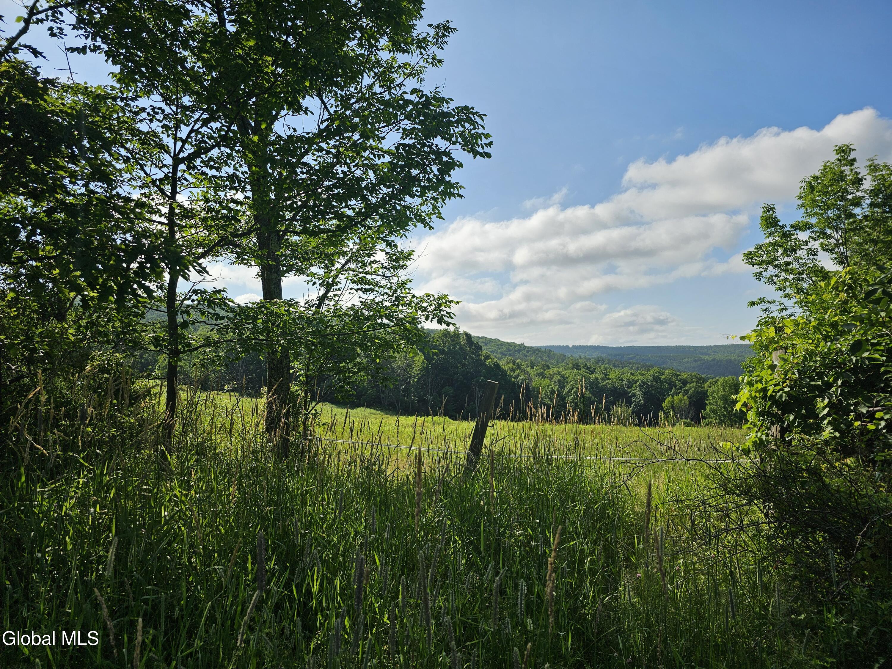 L-11 Earls Road Middleburgh NY 12122