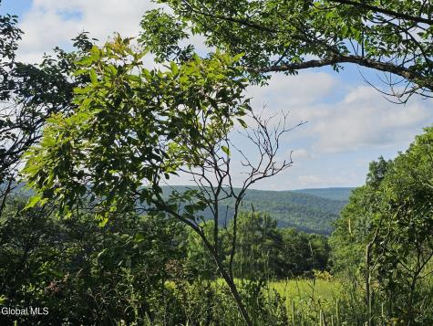 L-11 Earls Road Middleburgh NY 12122