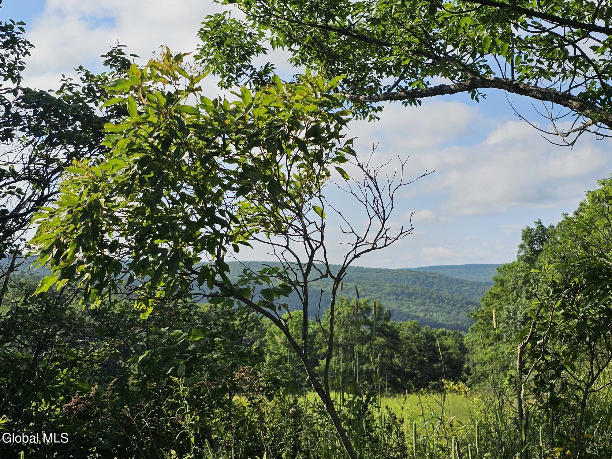 L-11 Earls Road Middleburgh NY 12122