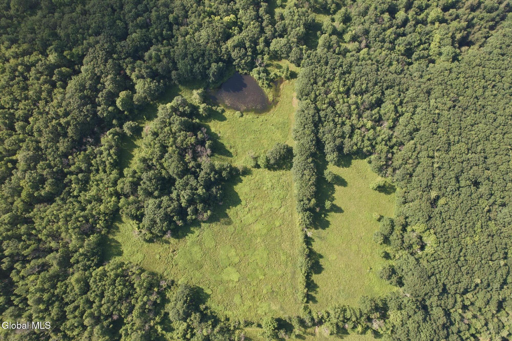 L-11 Earls Road Middleburgh NY 12122