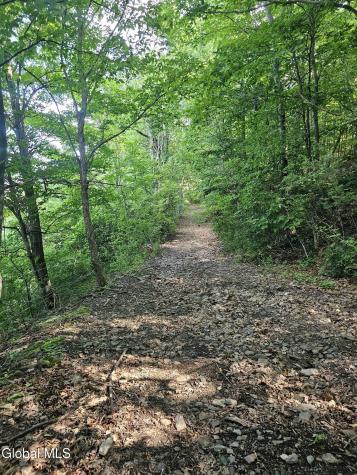 L-11 Earls Road Middleburgh NY 12122