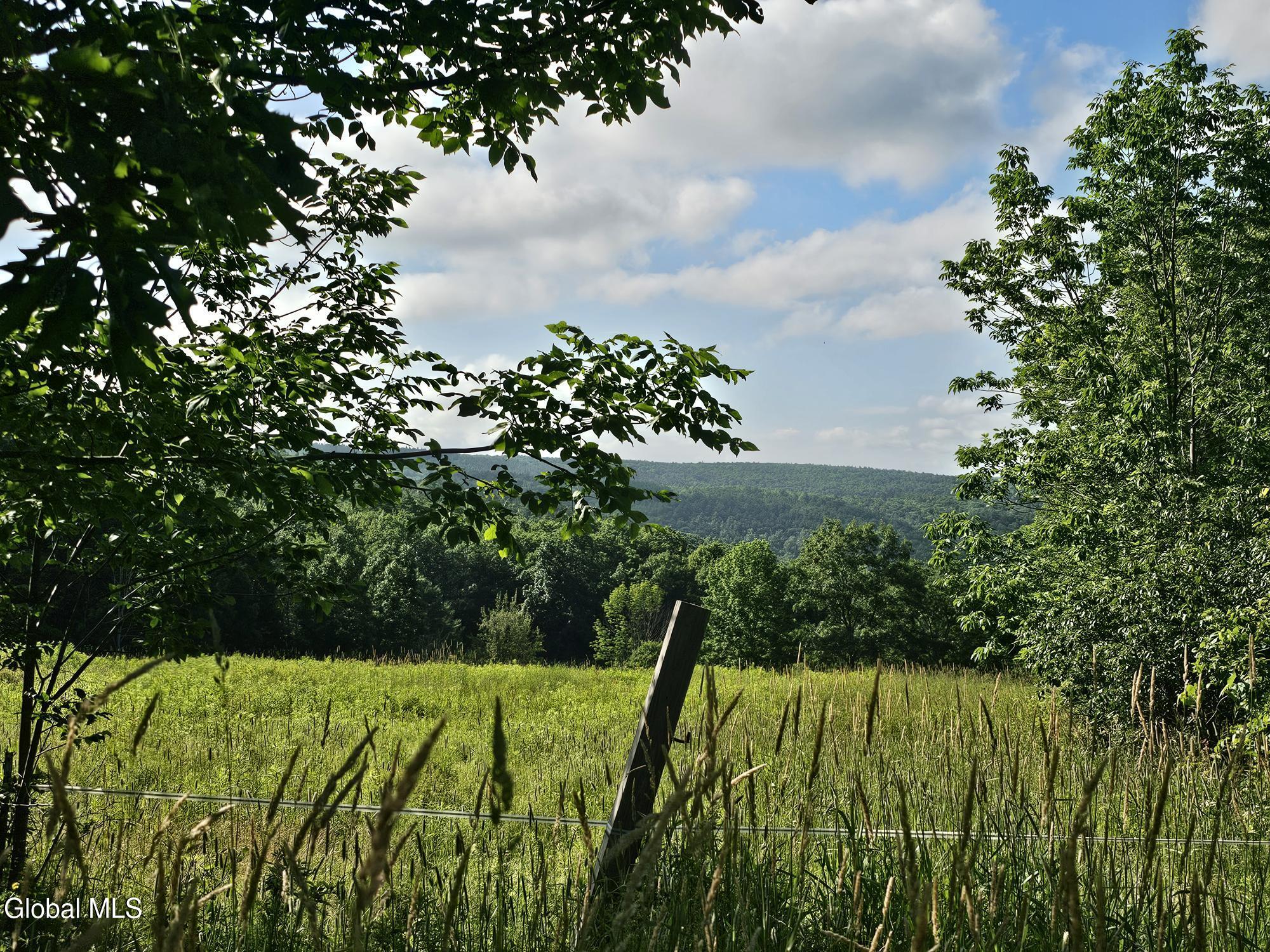 L-11 Earls Road Middleburgh NY 12122