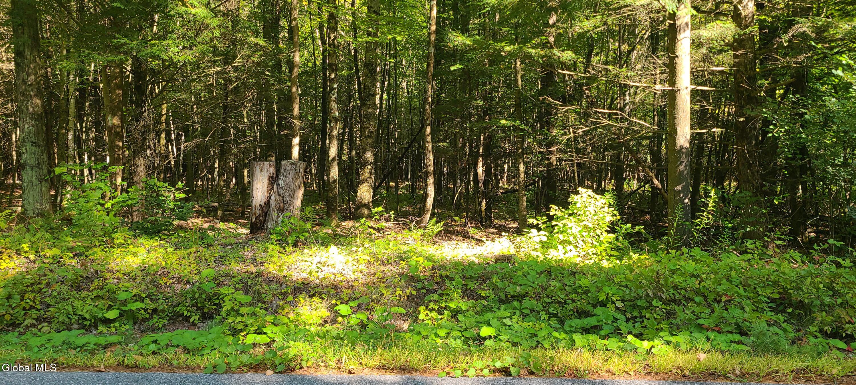 395 Cook Road Essex NY 12936