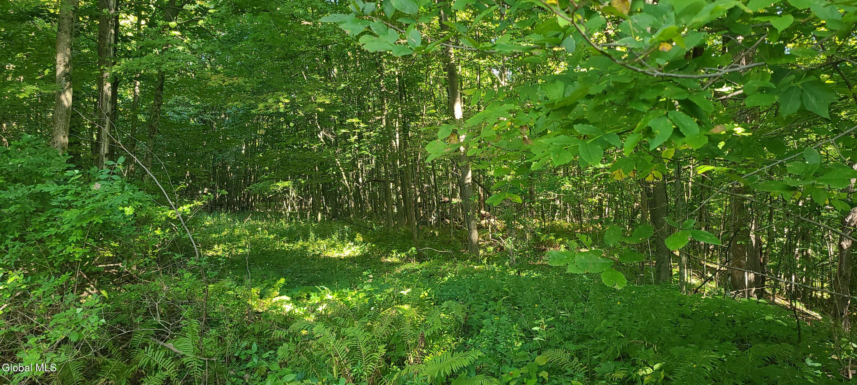 395 Cook Road Essex NY 12936