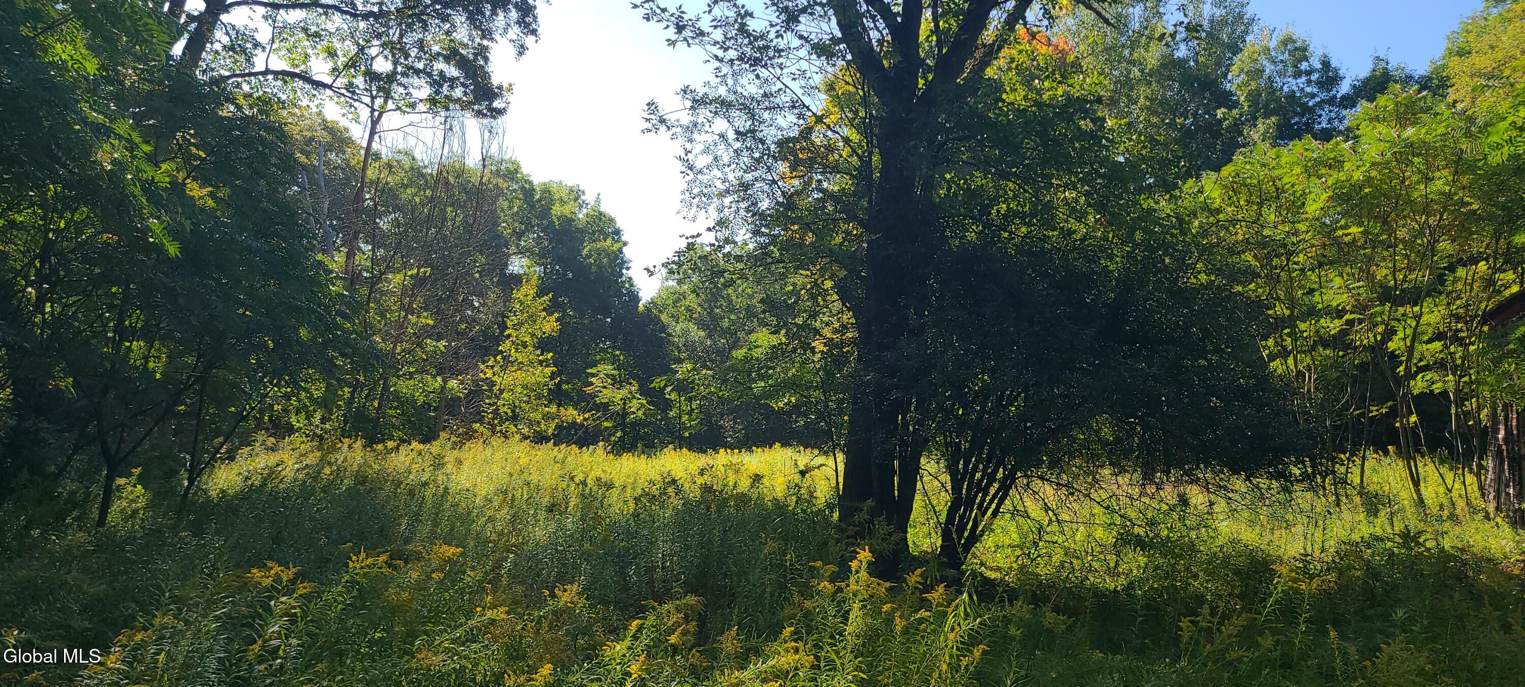 395 Cook Road Essex NY 12936