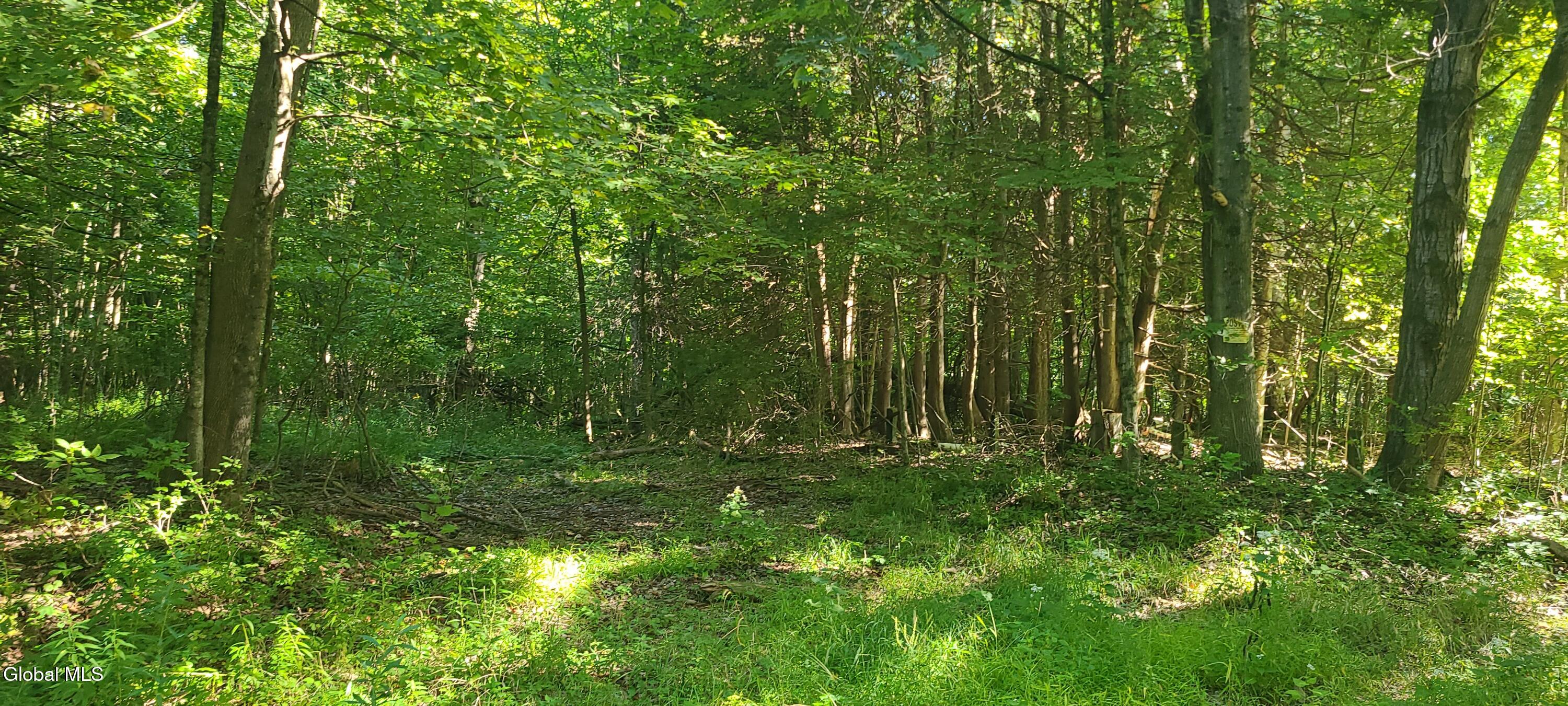 395 Cook Road Essex NY 12936