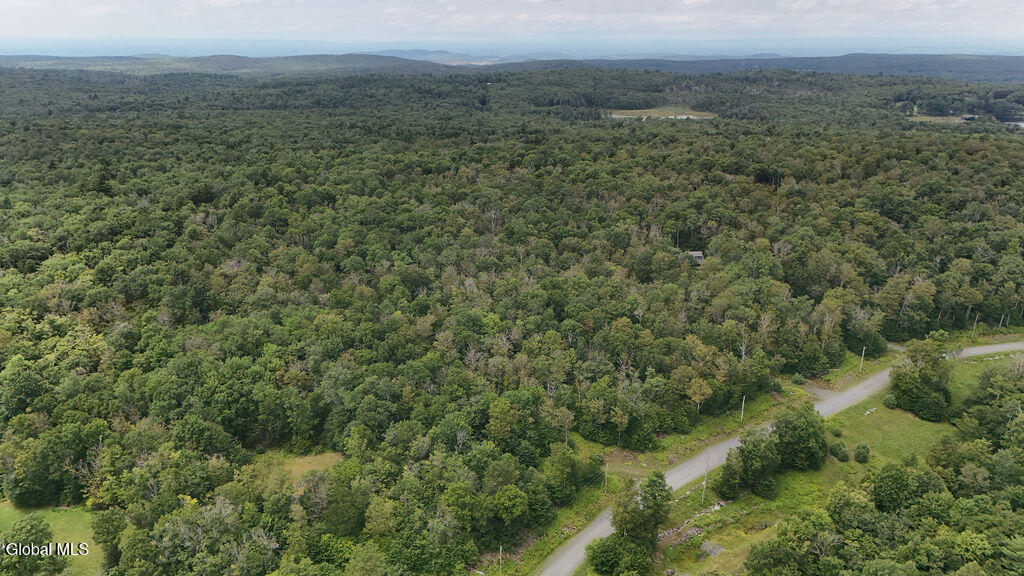 L44.141 Sylvan Way Cropseyville NY 12052