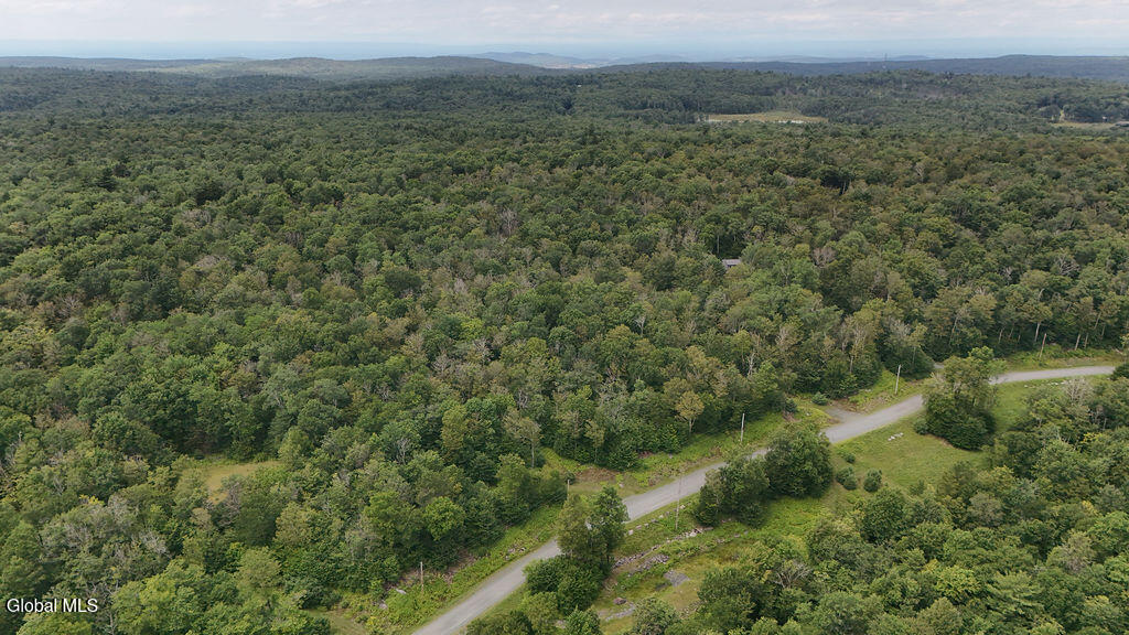 L44.141 Sylvan Way Cropseyville NY 12052