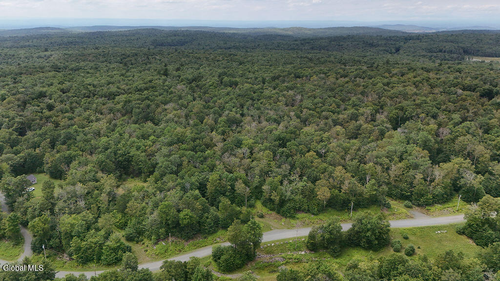 L44.141 Sylvan Way Cropseyville NY 12052
