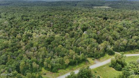 L44.141 Sylvan Way Cropseyville NY 12052