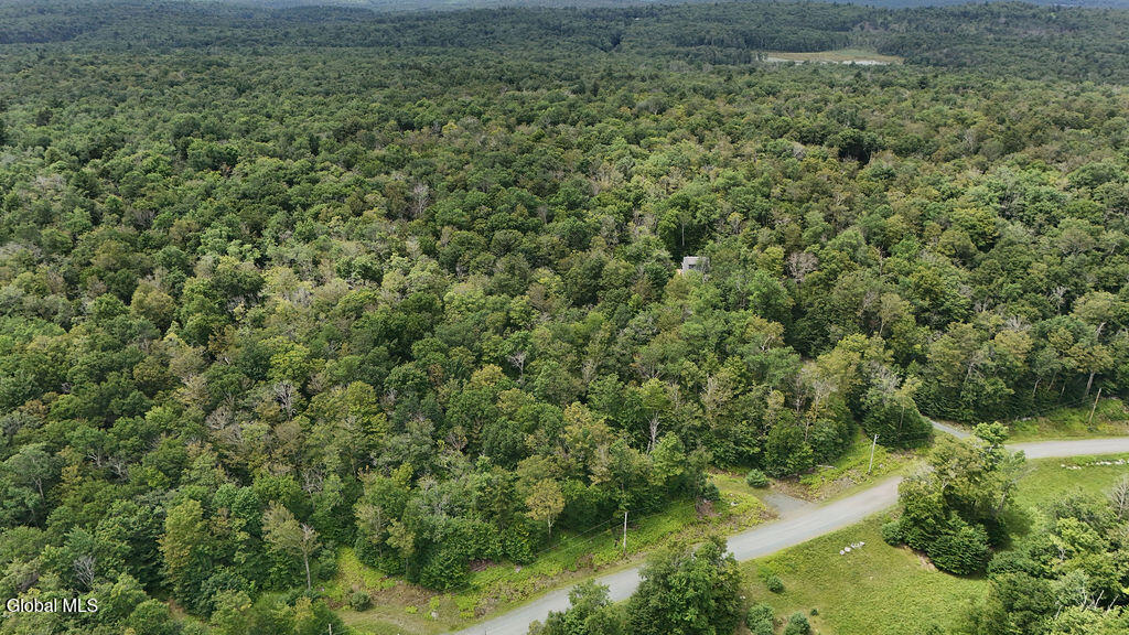 L44.141 Sylvan Way Cropseyville NY 12052