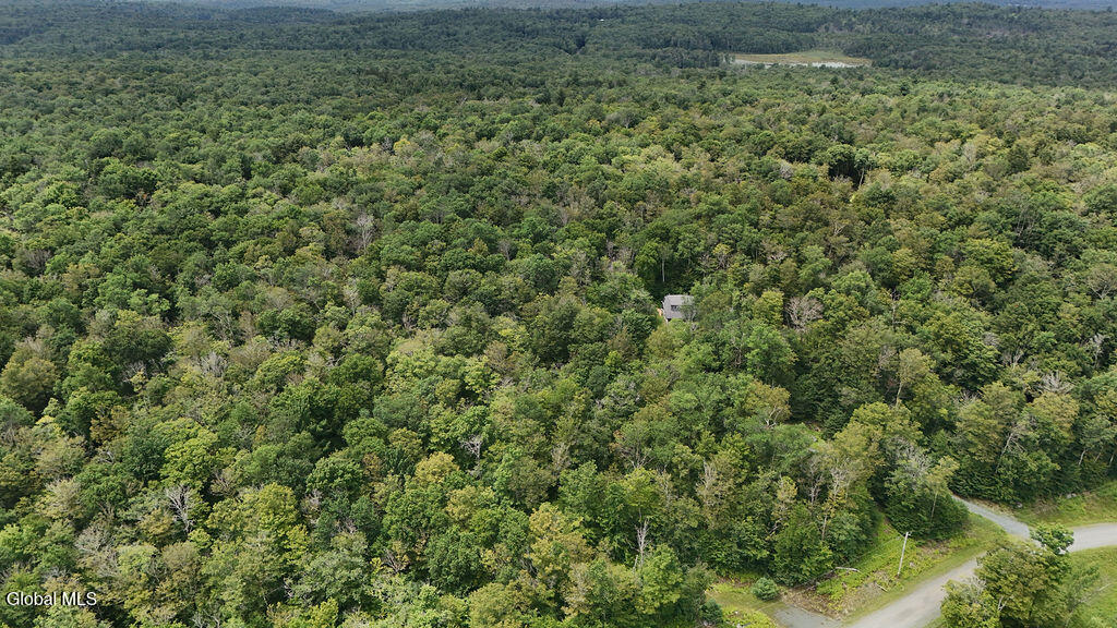 L44.141 Sylvan Way Cropseyville NY 12052
