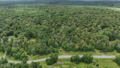 L44.141 Sylvan Way Cropseyville NY 12052
