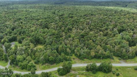 L44.141 Sylvan Way Cropseyville NY 12052