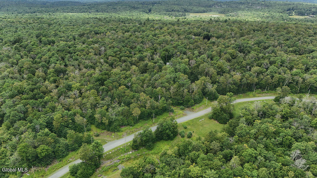 L44.141 Sylvan Way Cropseyville NY 12052