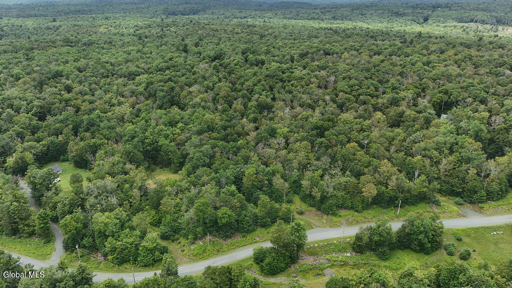 L44.141 Sylvan Way Cropseyville NY 12052