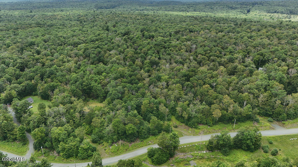 L44.141 Sylvan Way Cropseyville NY 12052
