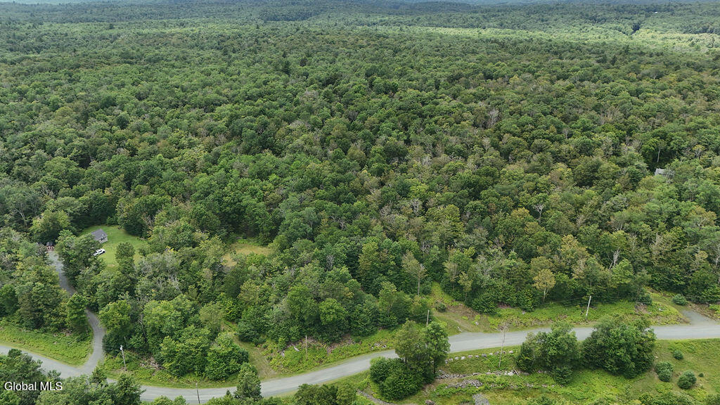 L44.141 Sylvan Way Cropseyville NY 12052