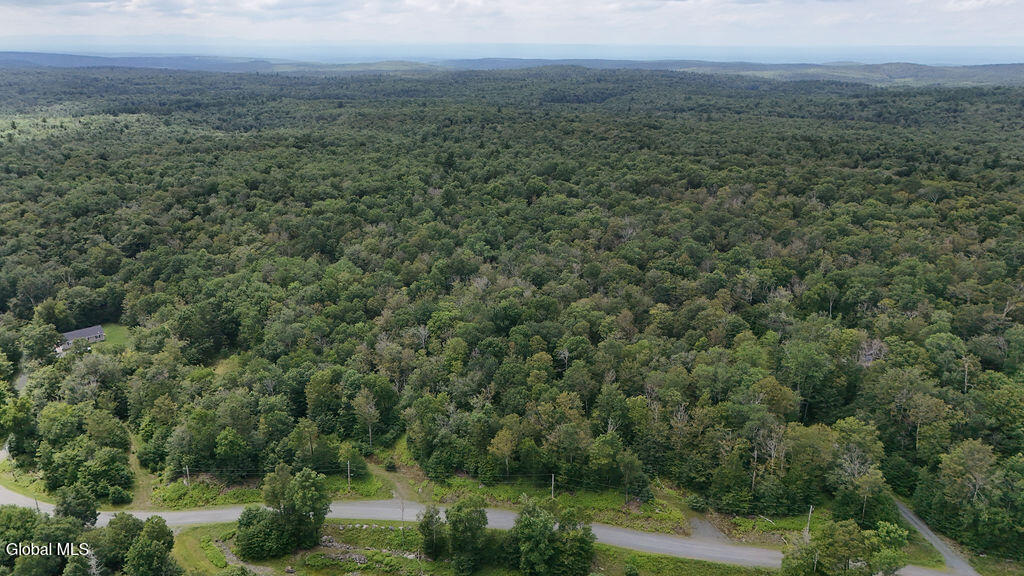 L44.141 Sylvan Way Cropseyville NY 12052