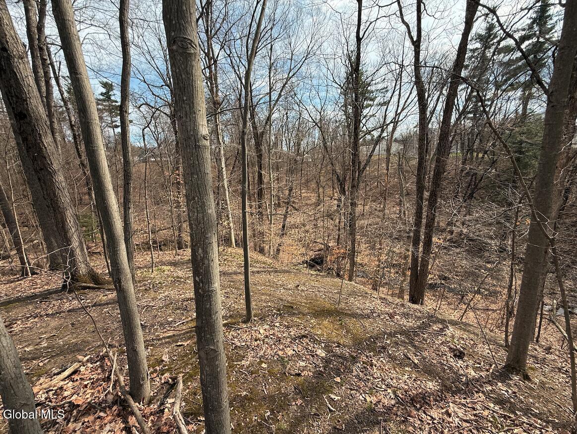 L30 Sterling Ridge Drive Rensselaer NY 12144