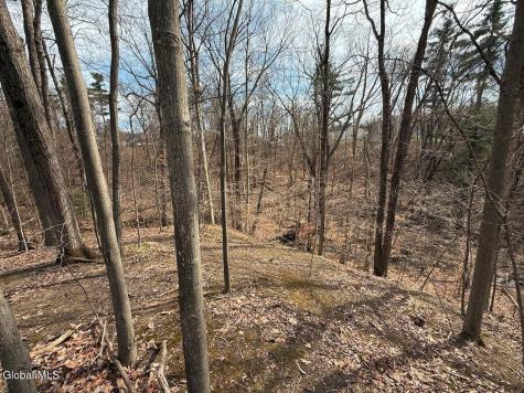 L30 Sterling Ridge Drive Rensselaer NY 12144
