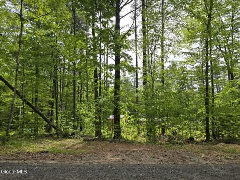 888 Landon Hill Road Pottersville NY 12817