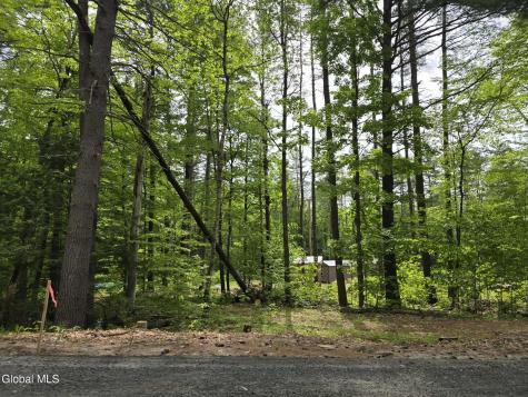 888 Landon Hill Road Pottersville NY 12817