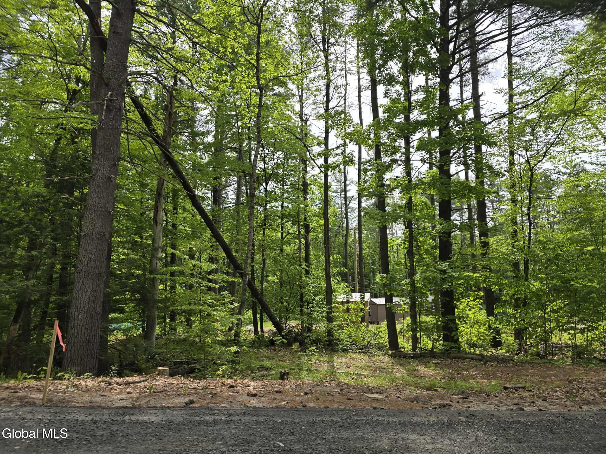 888 Landon Hill Road Pottersville NY 12817