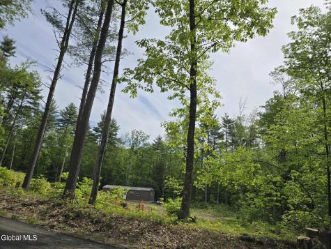 888 Landon Hill Road Pottersville NY 12817