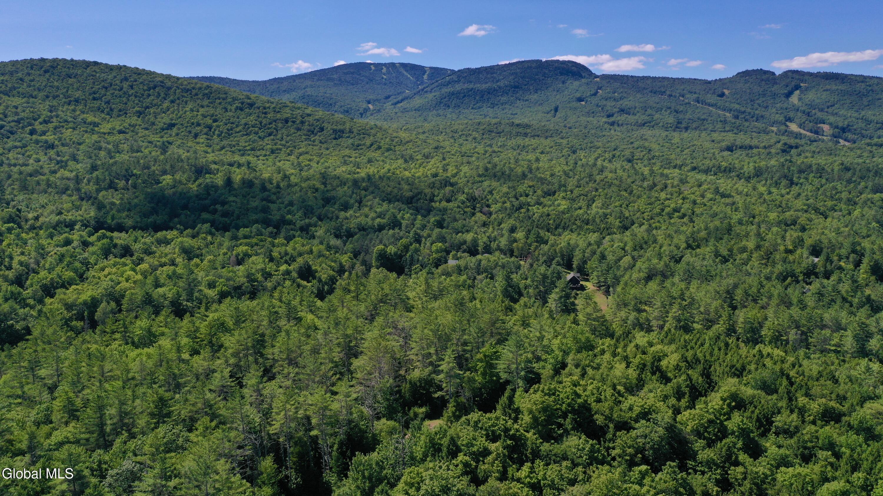 49 The Woods North Creek NY 12853