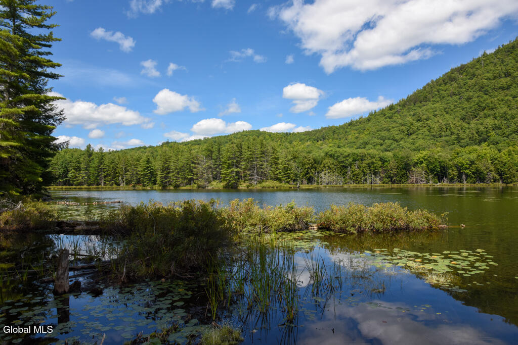 49 The Woods North Creek NY 12853