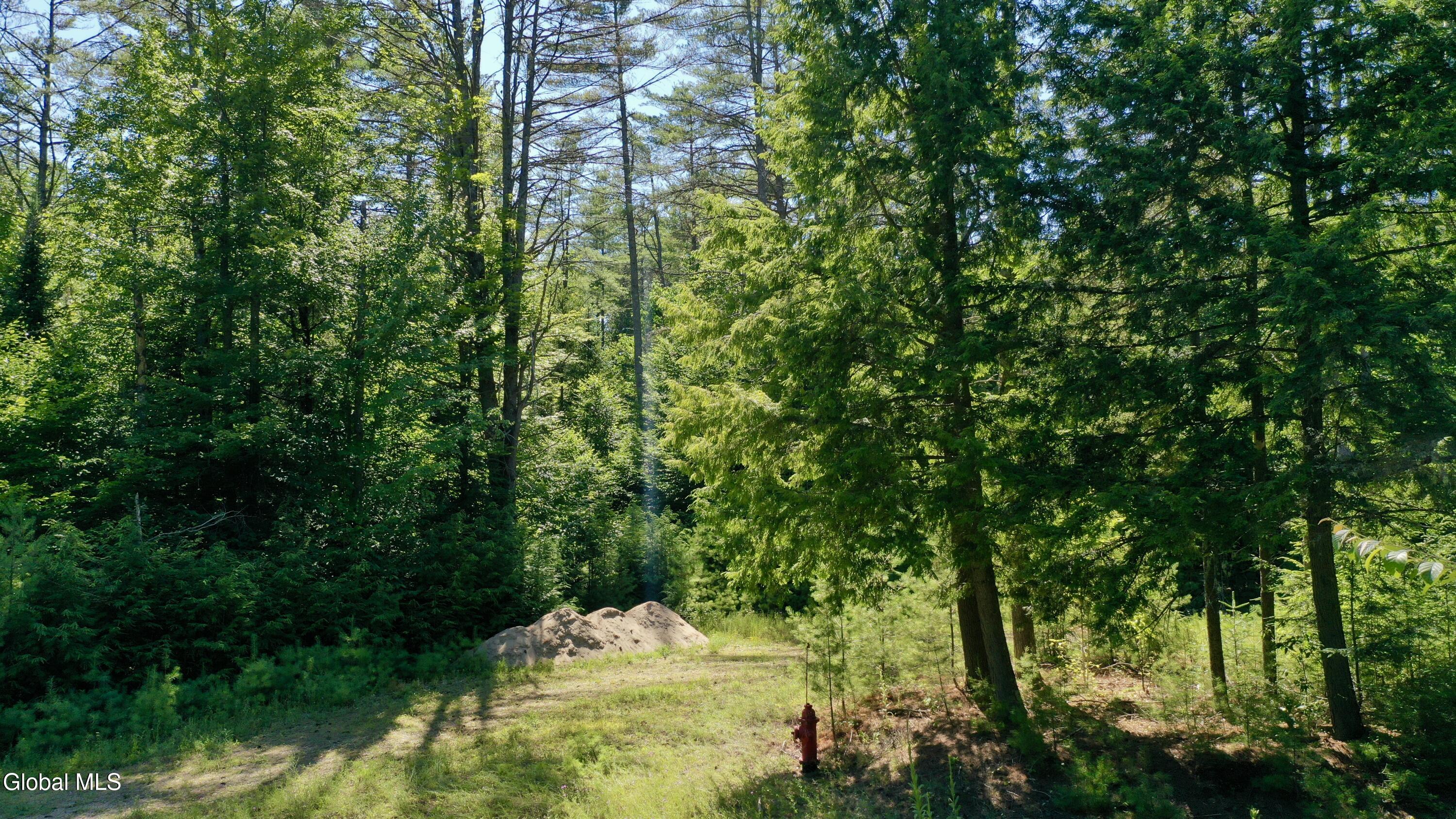 49 The Woods North Creek NY 12853