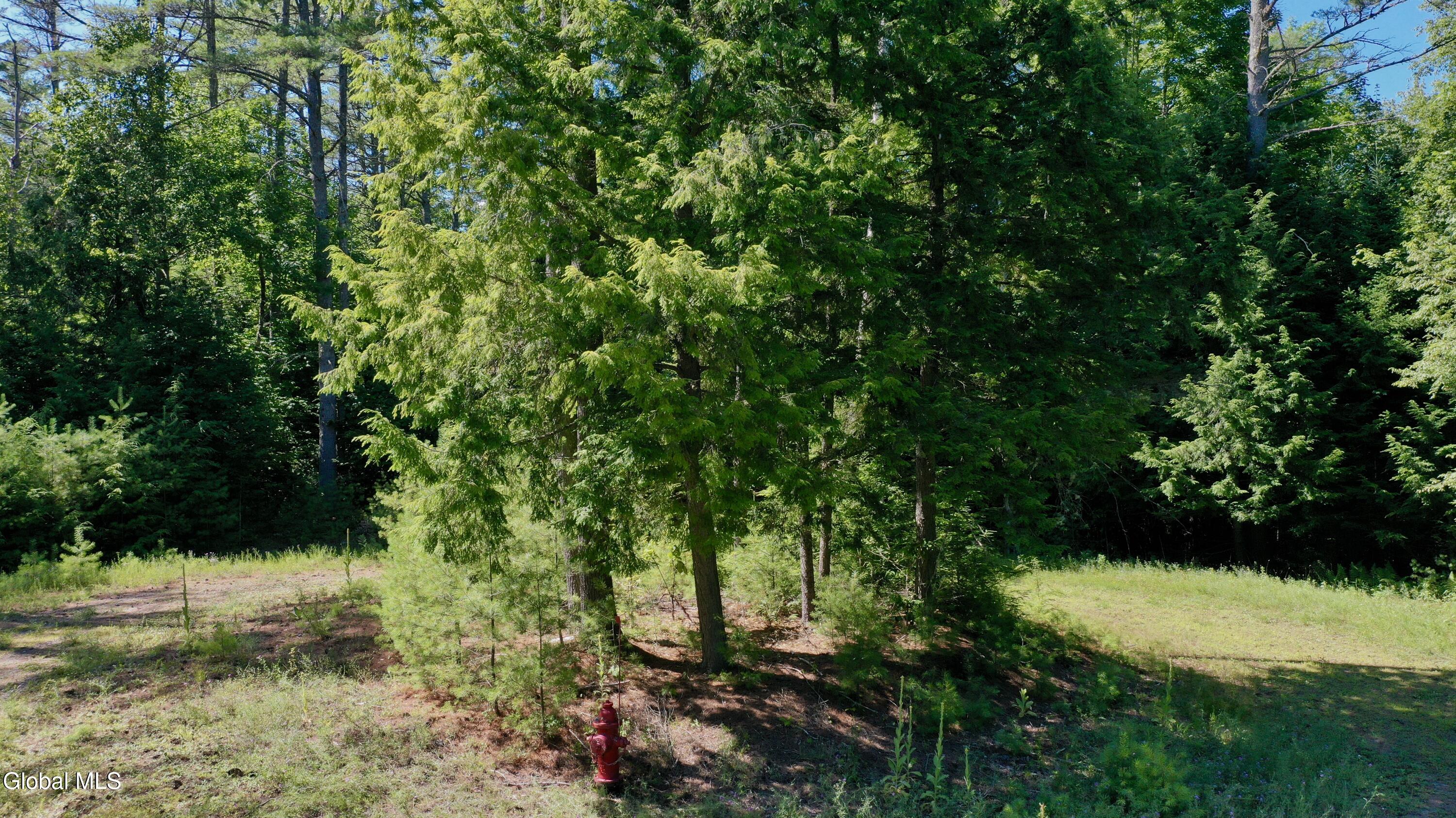 49 The Woods North Creek NY 12853