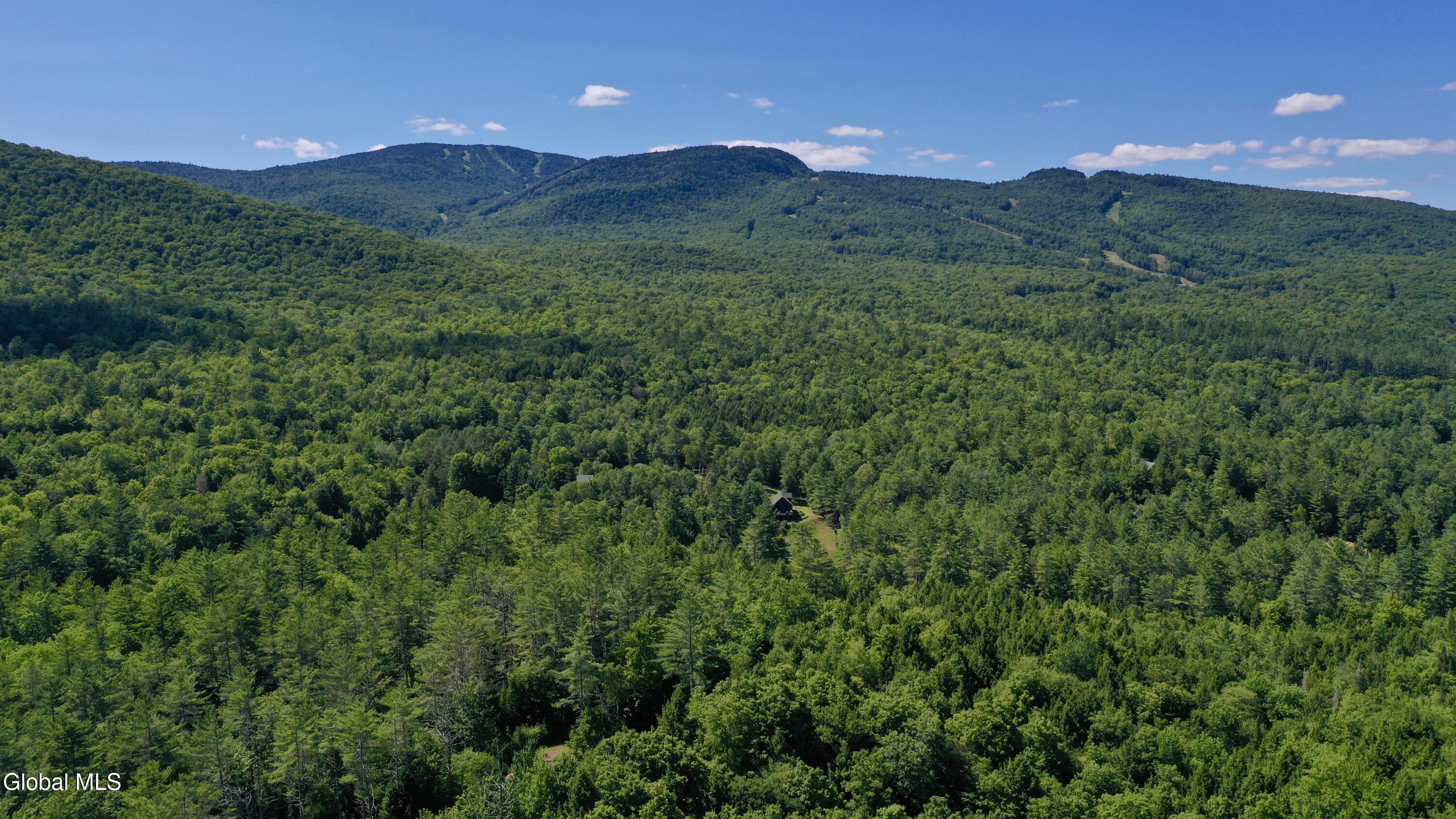 49 The Woods North Creek NY 12853