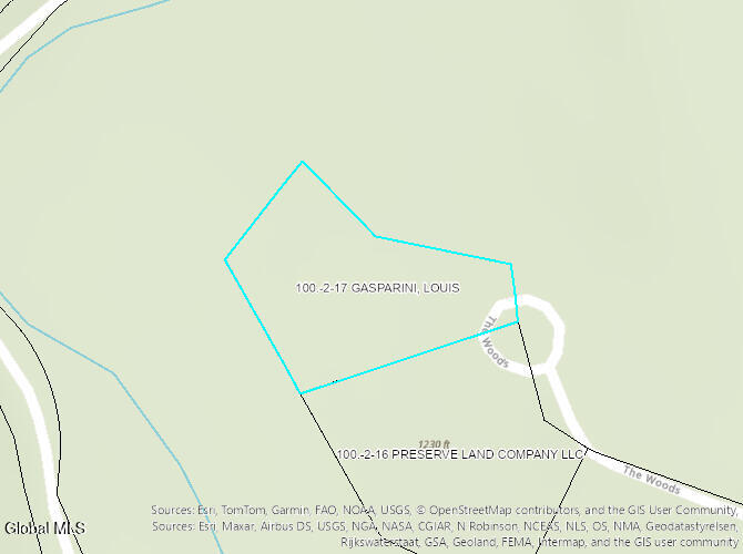 49 The Woods North Creek NY 12853