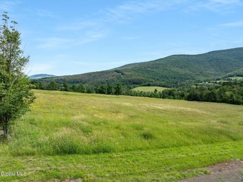 L10 Overlook Drive Prattsville NY 12452