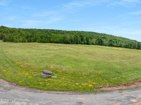 L10 Overlook Drive Prattsville NY 12452