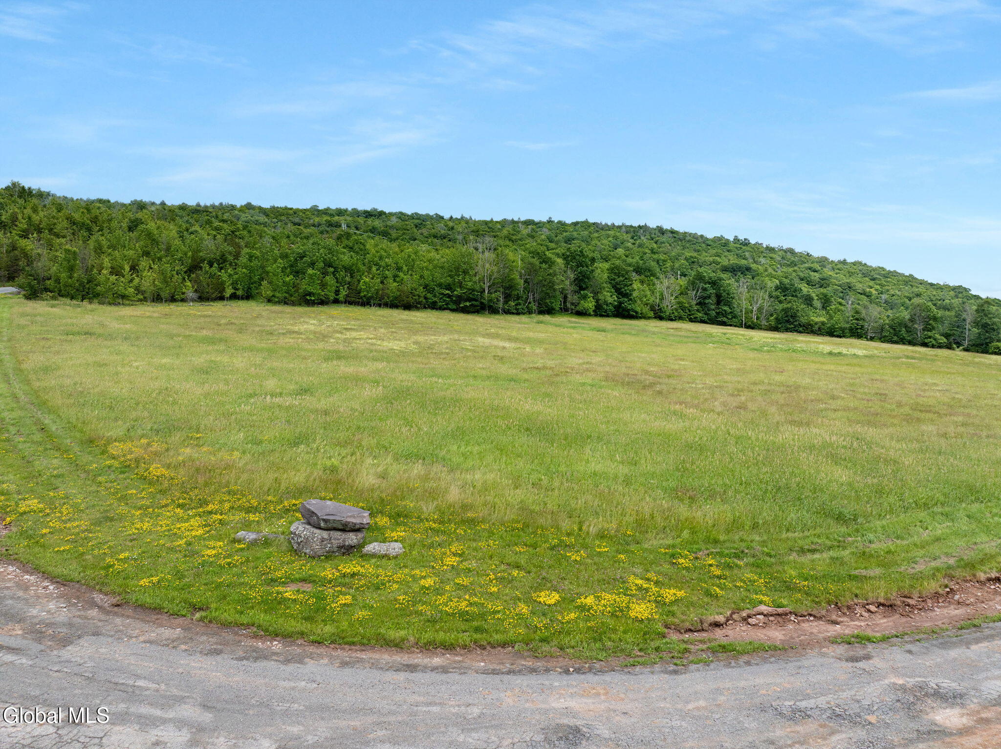 L10 Overlook Drive Prattsville NY 12452