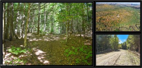 82 Carriage Knoll Road Chestertown NY 12817