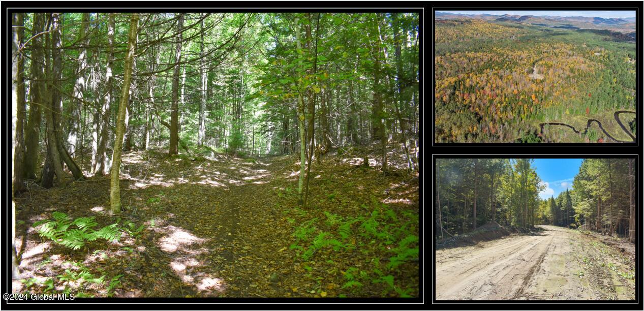 82 Carriage Knoll Road Chestertown NY 12817
