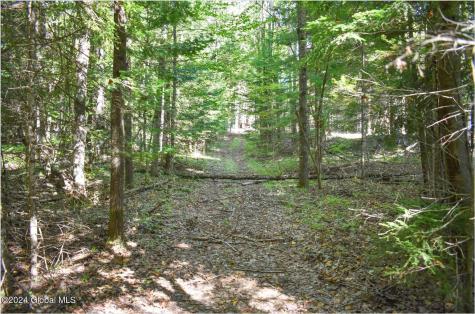 82 Carriage Knoll Road Chestertown NY 12817