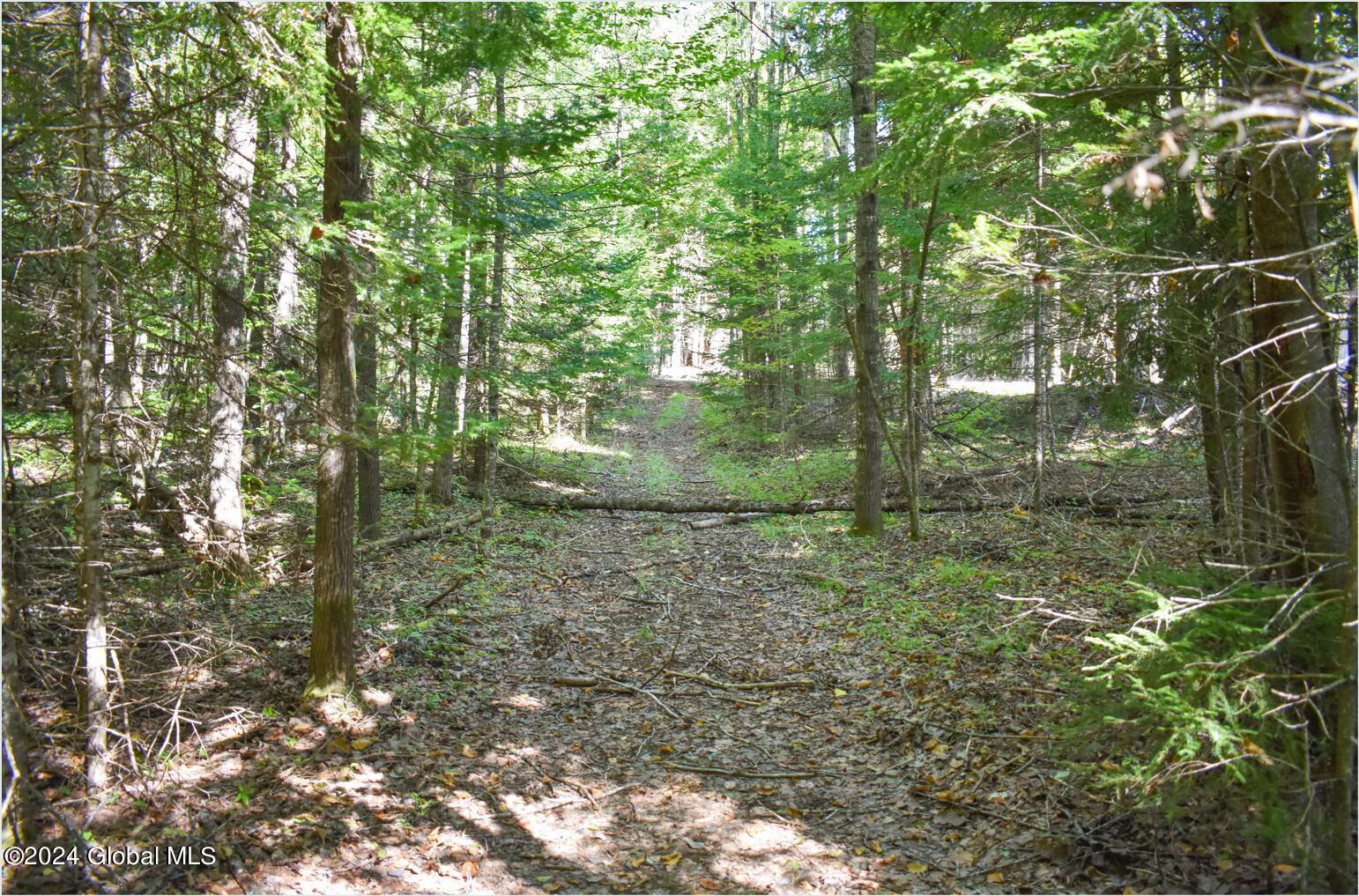 82 Carriage Knoll Road Chestertown NY 12817