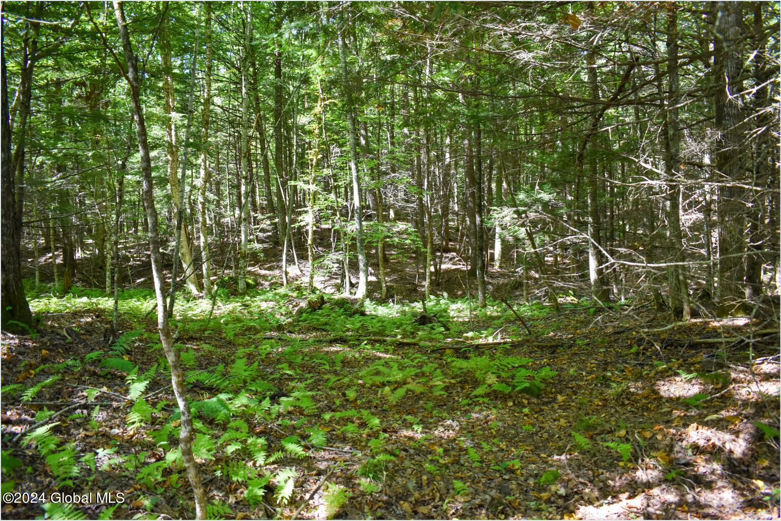 82 Carriage Knoll Road Chestertown NY 12817